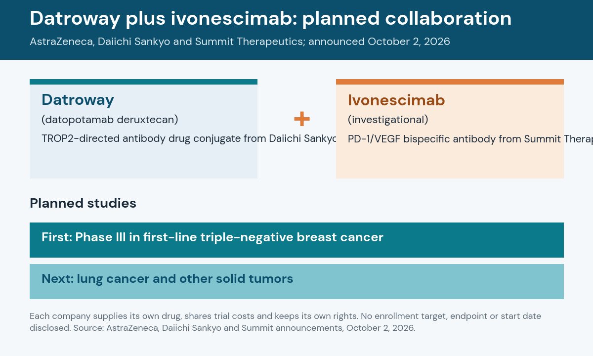Diagram of the planned Datroway plus ivonescimab collaboration: Datroway, a TROP2-directed antibody drug conjugate, combined with ivonescimab, a PD-1/VEGF bispecific antibody, with a first Phase III in first-line triple-negative breast cancer followed by lung cancer and other solid tumors