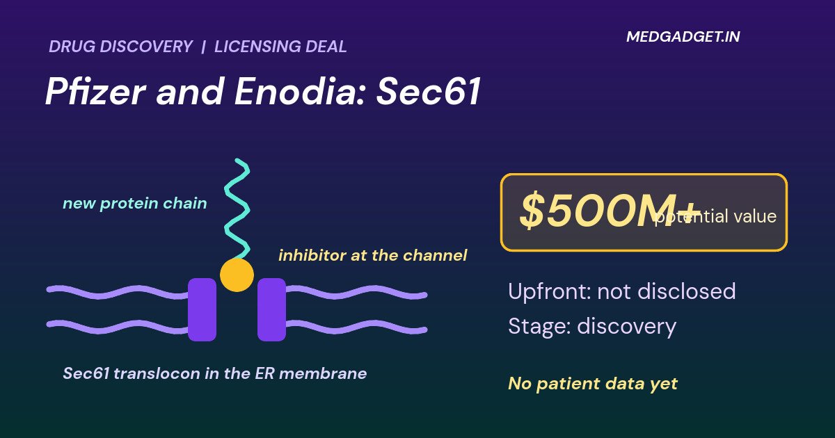 Graphic: Pfizer Enodia Therapeutics deal, a Sec61 channel in a cell membrane with an inhibitor blocking a new protein chain beside a $500M-plus potential value tag